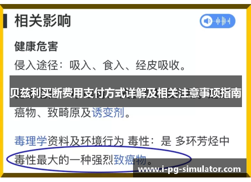 贝兹利买断费用支付方式详解及相关注意事项指南 贝兹利买断费用支付方式详解及相关注意事项指南