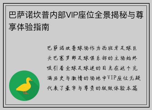 巴萨诺坎普内部VIP座位全景揭秘与尊享体验指南 巴萨诺坎普内部VIP座位全景揭秘与尊享体验指南