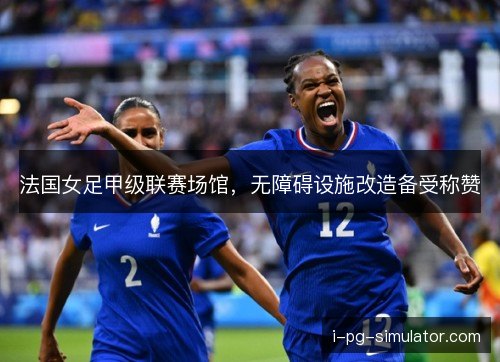 法国女足甲级联赛场馆，无障碍设施改造备受称赞